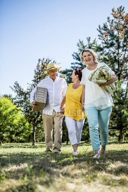 Amici anziani felici che camminano su un prato con coperta e cestino da picnic — Foto stock