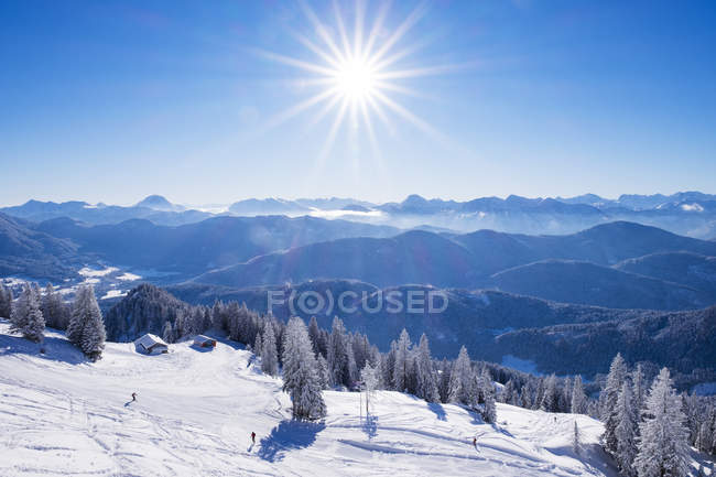 Germania, Alta Baviera, Lenggries, comprensorio sciistico di Brauneck con alberi e neve — Foto stock