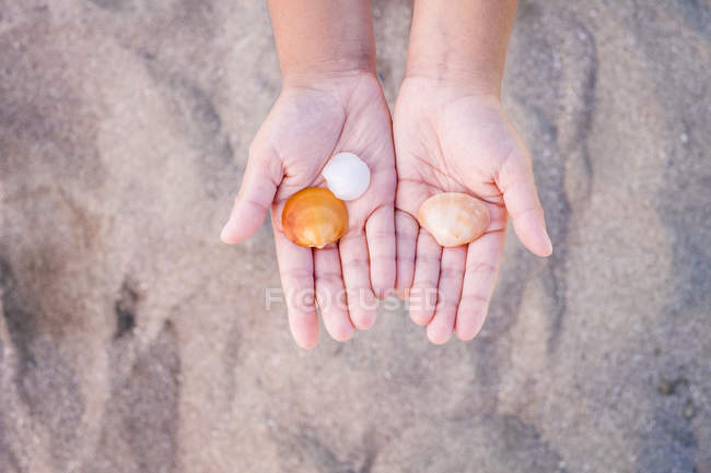 Main d'enfant tenant des moules sur la plage de sable — Photo de stock