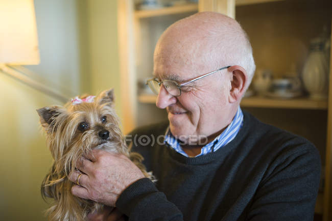 Hombre mayor con su Yorkshire terrier en casa - foto de stock
