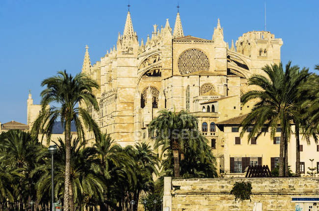 Spagna, Isole Baleari, Maiorca, Palma di Maiorca, Cattedrale di La Seu vista alla luce del sole — Foto stock