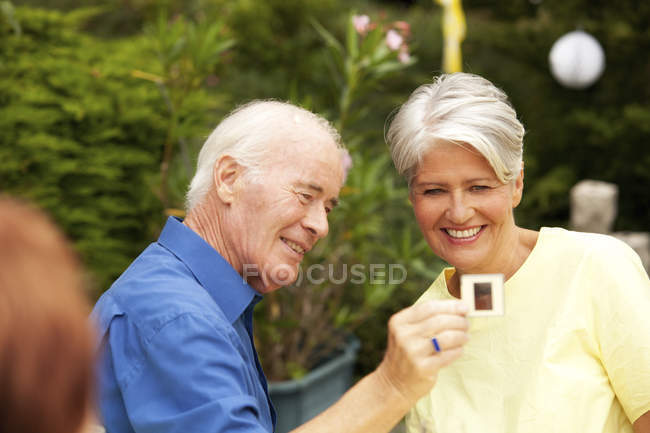 Senior man looking at slide with guest at garden — Stock Photo