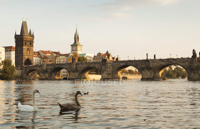 Czechia, Praga, vista para a cidade histórica com Old Town Bridge Tower e Charles Bridge — Fotografia de Stock