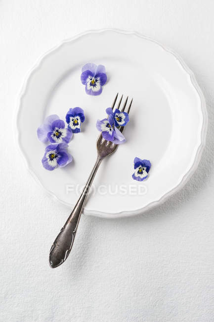 Edible Horned Violets and a fork on plate — Stock Photo