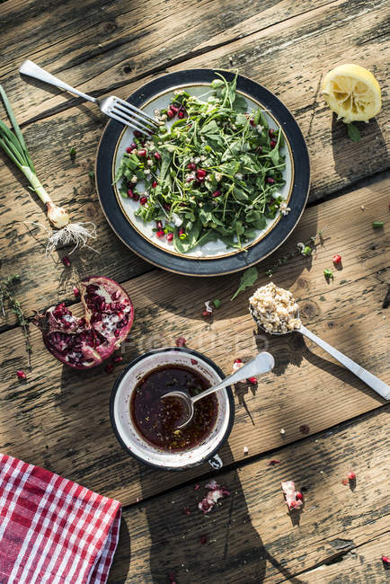 Salade verte à la grenade, croupe de manne, oignon de printemps et vinaigrette — Photo de stock