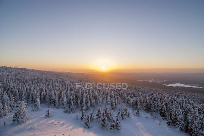 Allemagne, Saxe-Anhalt, Parc National du Harz, Wolfswarte en hiver — Photo de stock