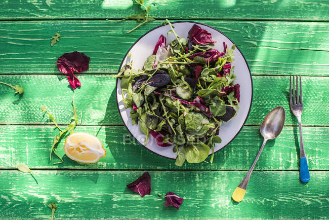 Insalata con spinaci, erbe aromatiche, rucola e lattuga — Foto stock