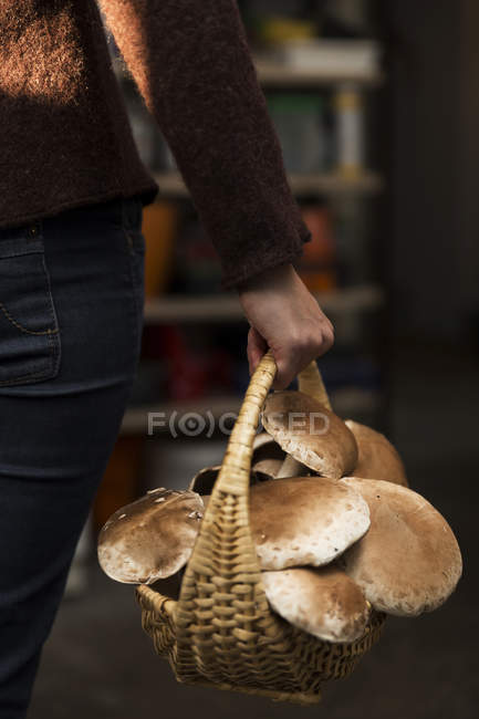 Femme tenant panier aux champignons crimini — Photo de stock