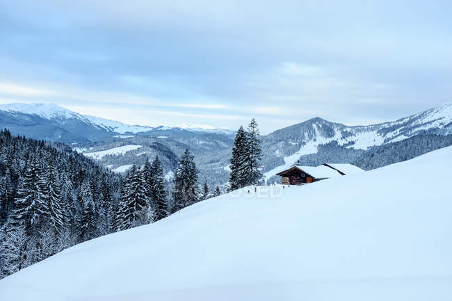 Autriche, État de Salzbourg, vallée de l'Heu, Sonntagshorn, cabane de montagne — Photo de stock