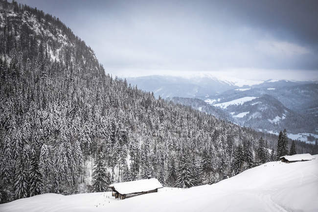Áustria, Salzburgo, Heutal, paisagem de inverno — Fotografia de Stock