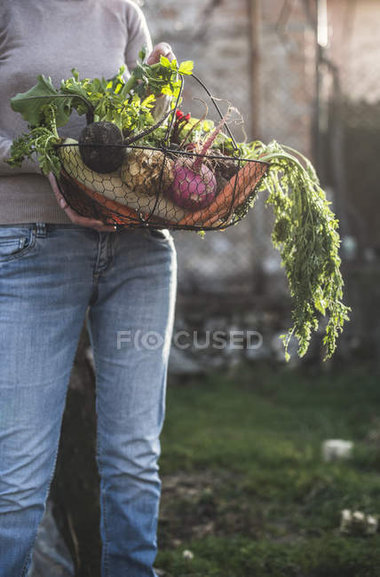 Woman holding root vegetables — Stock Photo