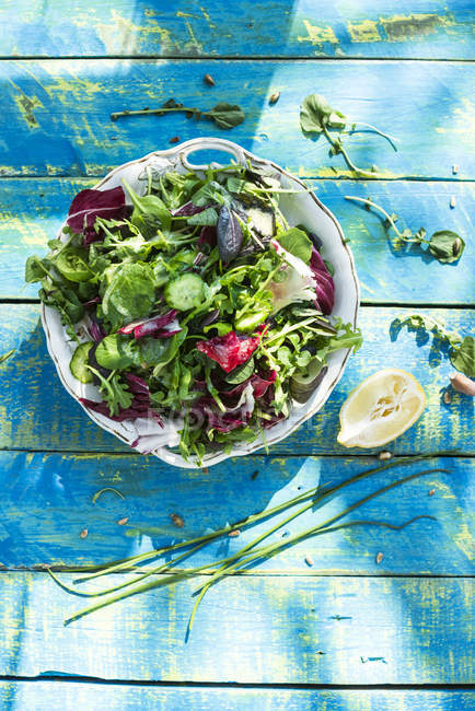 Салат зі шпинатом, травами, руколою та салатом — стокове фото