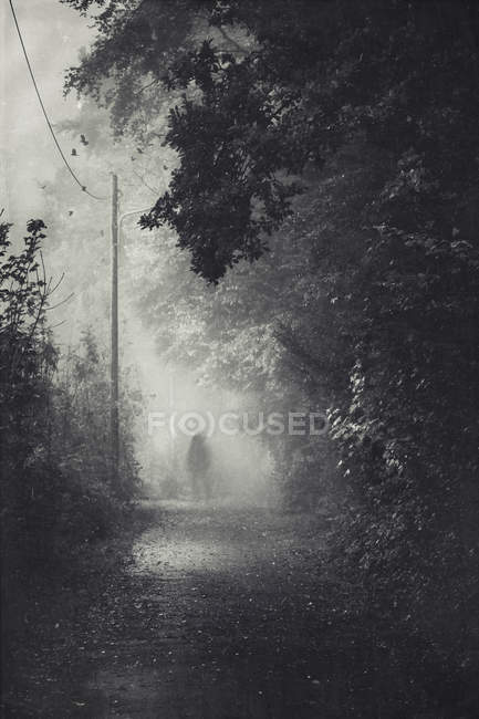 Silhueta de um homem no caminho da floresta nebulosa — Fotografia de Stock