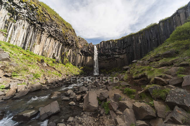 Islândia, bela cachoeira Svartifoss — Fotografia de Stock