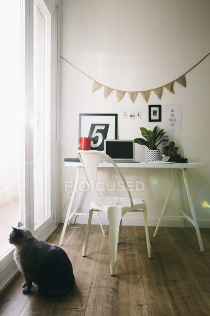 Local de trabalho em casa escritório com gato olhando para fora da janela — Fotografia de Stock