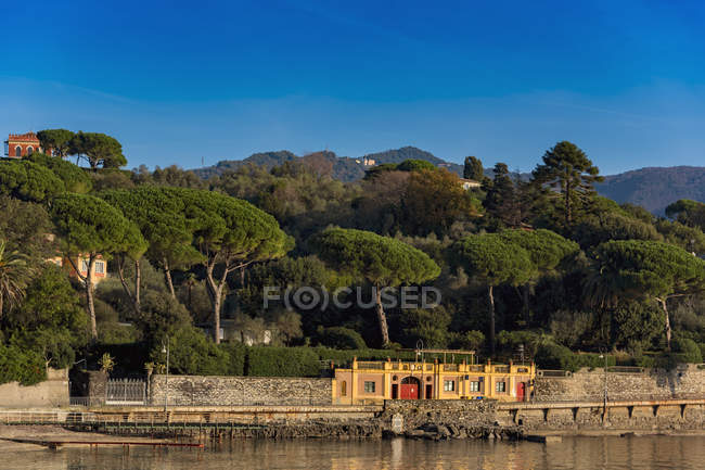 Italia, Liguria, Riviera di Levante, Santa Margherieta y árboles contra el agua en el fondo - foto de stock