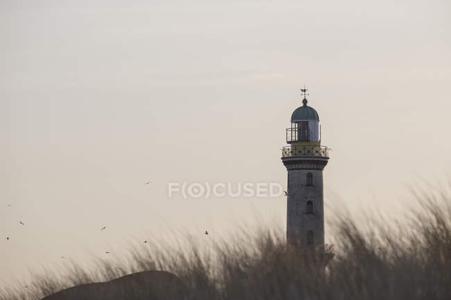 Vieux phare sur herbe vue sur le champ — Photo de stock