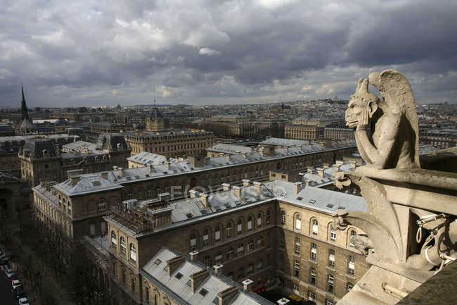 View over Paris from Notre Dame Cathedral, Paris, France — Stock Photo