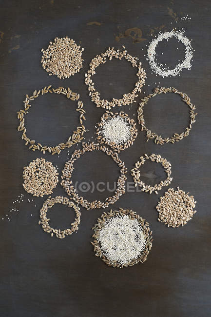 Scattered wheat grains and barley in round shapes on black surface — Stock Photo