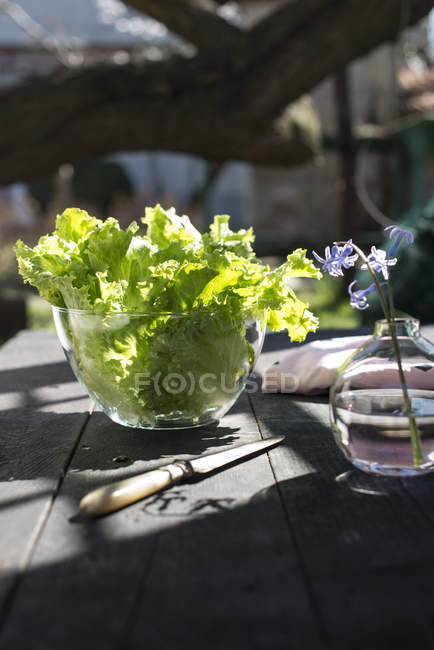 Bol en verre de salade de feuilles — Photo de stock