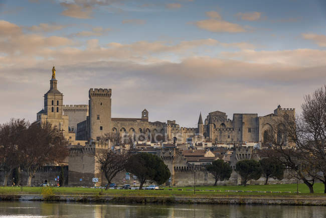 Francia, Avignone, Cattedrale di Avignone durante il giorno — Foto stock