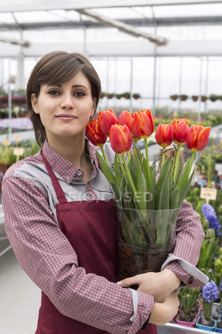 Jardinero femenino sosteniendo maceta con tulipanes — Rojo, Sonriendo -  Stock Photo | #177563544