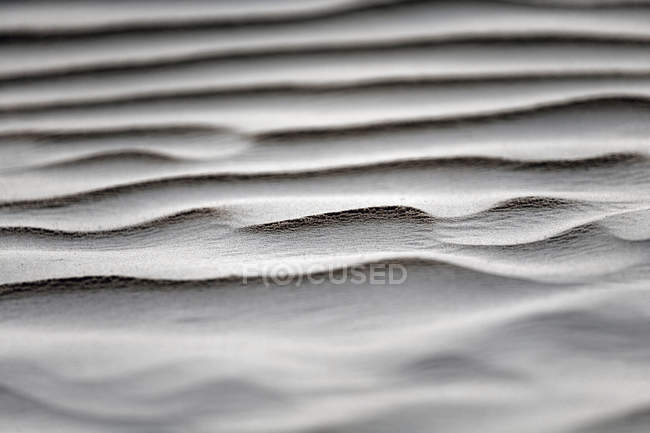 Sand dune in the Sahara desert, Great Eastern Erg, close-up — Stock Photo