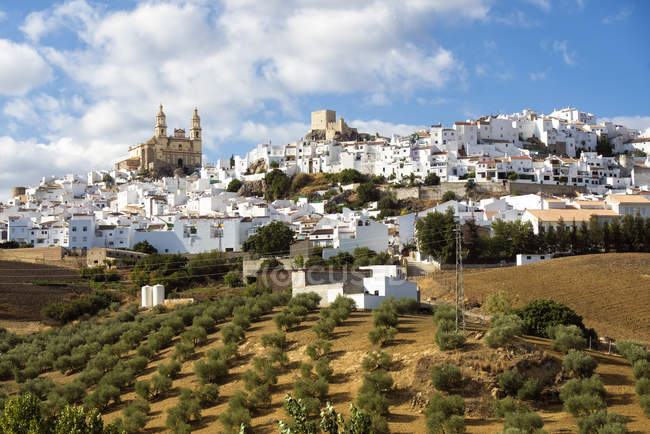 Espagne, Andalousie, Cadix, Olvera, Village avec Eglise Nuestra Senora de la Encarnacion view — Photo de stock