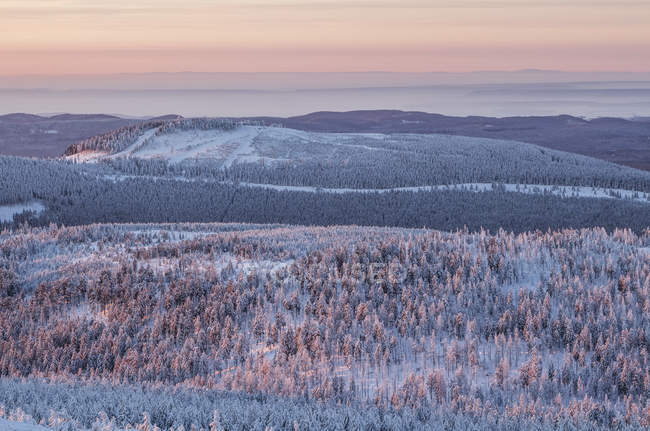 Deutschland, sachsen-anhalt, sonnenaufgang im harz-nationalpark im winter — Stockfoto