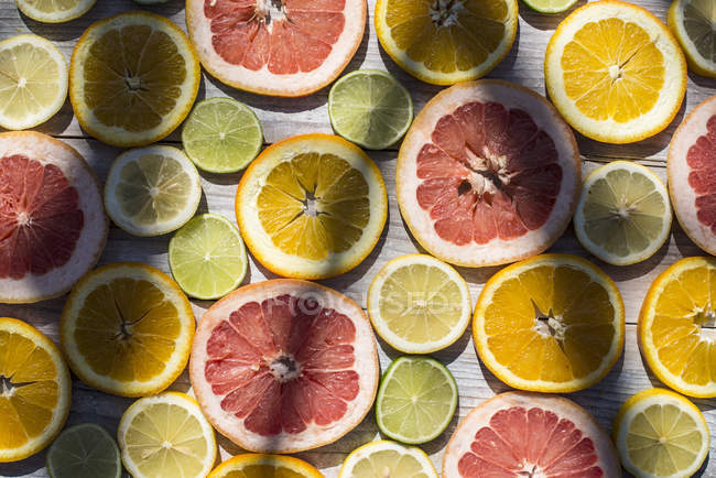 Slices of different citrus fruits — Stock Photo