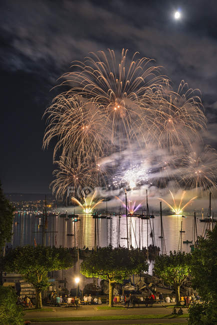 Deutschland, Konstanz, Bodensee, Feuerwerk beim seenachtsfest — Stockfoto