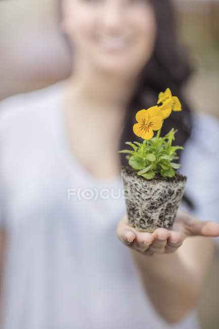 Жінка тримає рослин у Садовий центр — стокове фото
