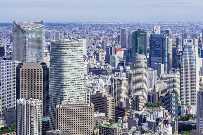 Vue du paysage urbain de Tokyo de jour, Japon — Photo de stock