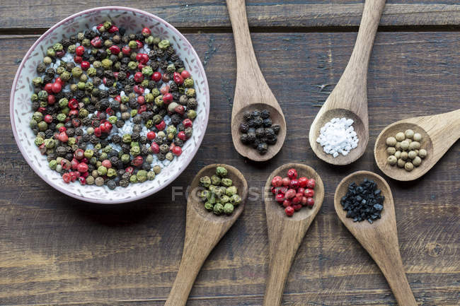Wooden spoons of different peppercorns and Hawaiian lava salt and berg crystal salt — Stock Photo