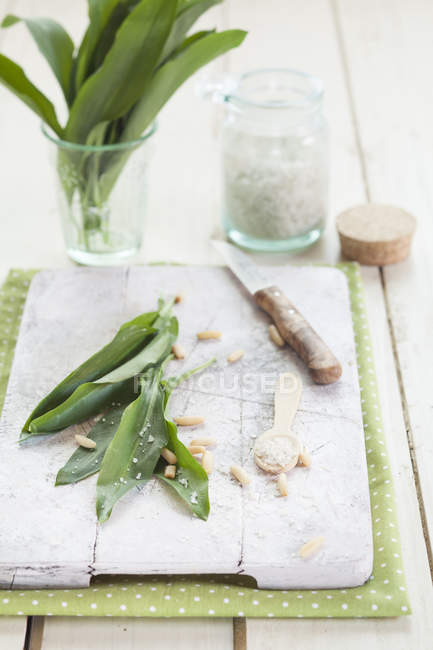 Vue rapprochée des ingrédients pour ramson pesto — Photo de stock