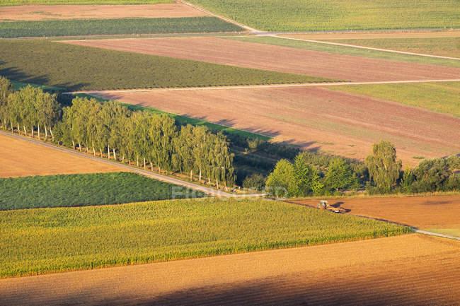 Германия, Бавария, Мбаппе, поле в утреннем свете под Феттелем — стоковое фото