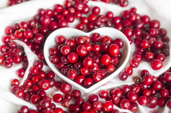 Lingonberries in heart-shaped dish — Stock Photo