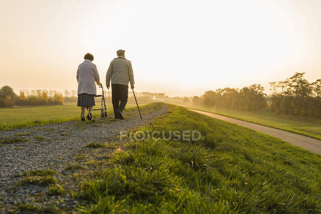 Casal sênior andando com bengala e andador de rodas na natureza — Fotografia de Stock