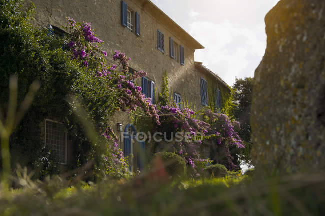 Италия, Тоскана, Маремма, Цветущий сад загородного дома — стоковое фото