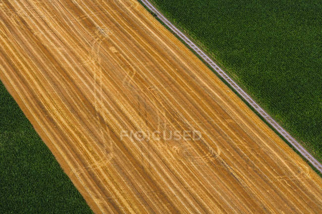 Veduta aerea del campo con trattori, Baviera, Germania — Foto stock