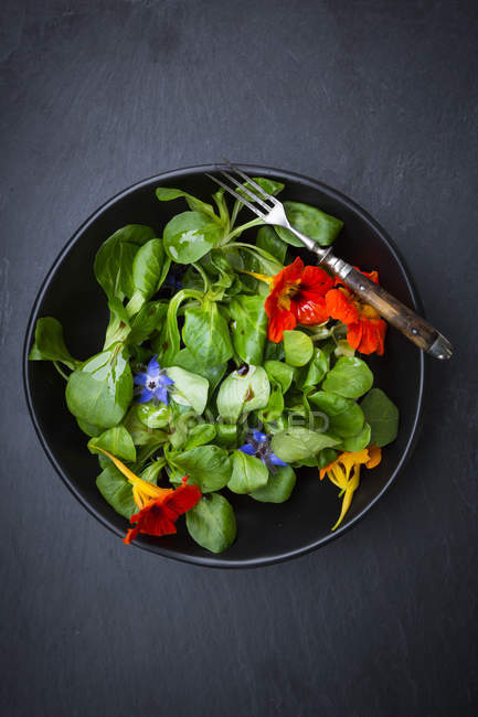Чаша салата с цветами боража и индийского кресса — стоковое фото