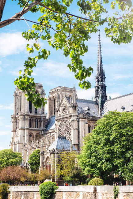 France, Paris, Notre-Dame de Paris surrounded by trees — Stock Photo