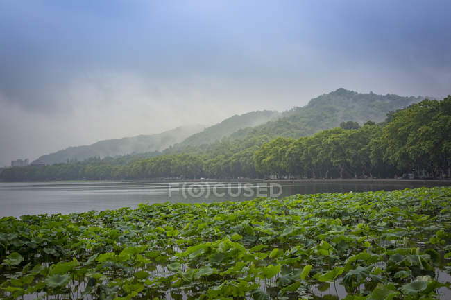 Китай, Чжэцзян, Ханчжоу, Туман, поднимающийся с гор у западного озера — стоковое фото