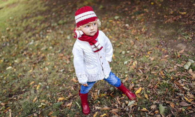 Retrato de loiro menino moda tricô desgaste no outono — Fotografia de Stock