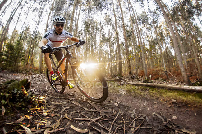 Mountain biker driving in the forest — Stock Photo