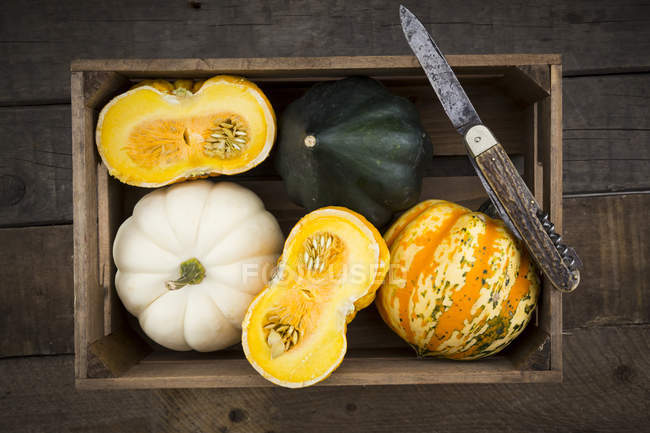 Wooden box of different sorts of mini squashes on wood — Stock Photo