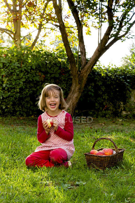 Porträt eines lachenden kleinen Mädchens auf einer Wiese mit Weidenkorb mit Äpfeln — Stockfoto