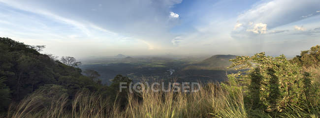 Vista del Parque Nacional Yala de Sri Lanka - foto de stock