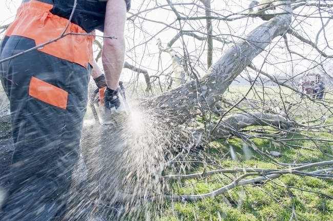 Lumberjack розпилювання дерев'яного стовбура крупним планом — стокове фото