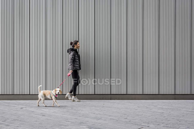 Mujer y su perro paseando por el pavimento frente a una fachada metálica - foto de stock